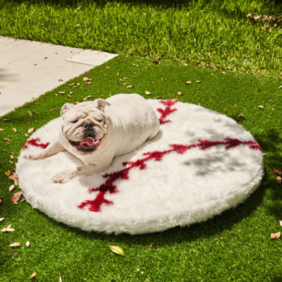 Bulldog puppy sunbathing on an outdoors dog bed 