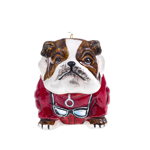 English Bulldog Christmas Ornament in Artic Coat By Joy To the World Collectibles