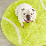 Bulldog on a tennis ball rug
