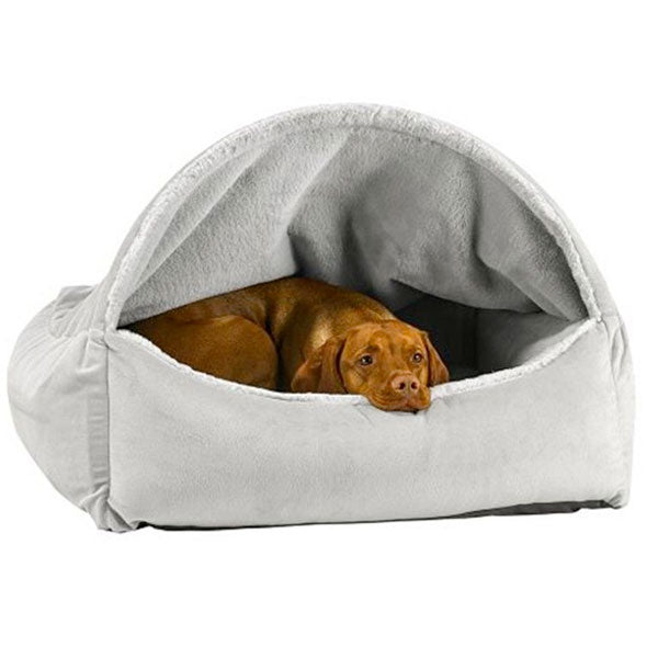 Puppy canopy bed best sale