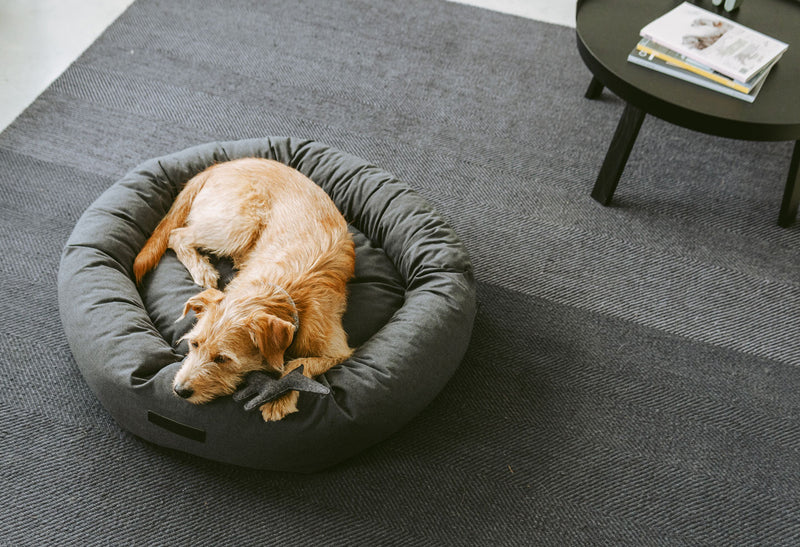Round pet bed rondo is a modern dog bed design from Miacara.