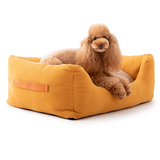 Poodle on a luxury designer canvas dog bed