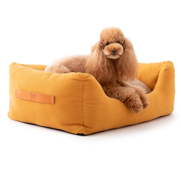 Poodle on a luxury designer canvas dog bed