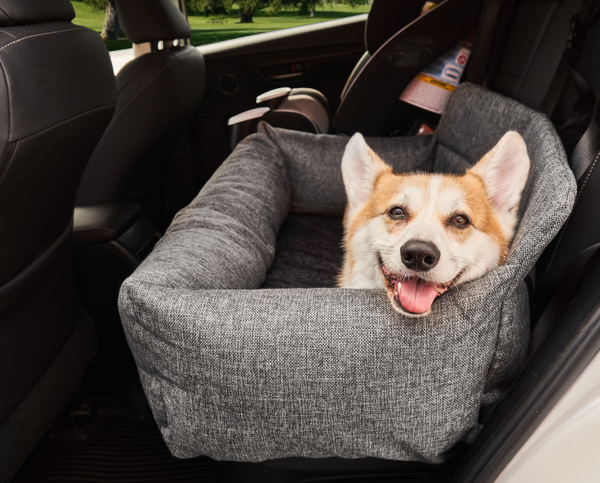 Comfortable car seat for medium size dog