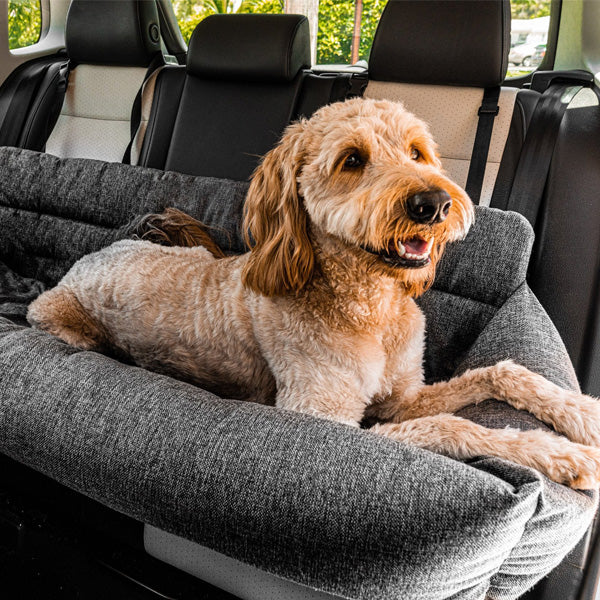 Labradoodle in a large size dog seat in a SUV car
