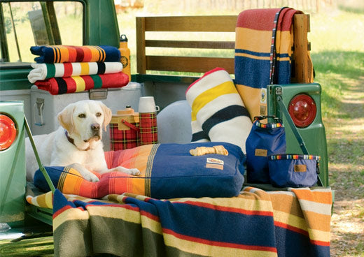 Pendleton dog bed from national parks pet collection