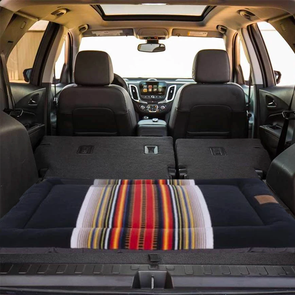 Protect your car with a dog cushion from Pendleton pets