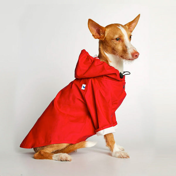 Sarah Waterproof Dog Rain Jacket - Red
