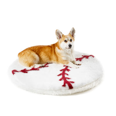 Corgi on a PupRug orthopedic dog bed