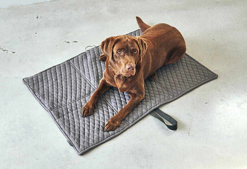 Miacara Cosmo Dog Mat & Travel Bed Foldable