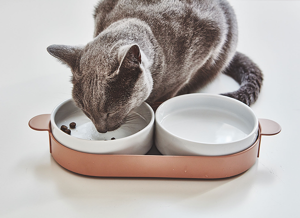 Cat feeding from MiaCara designer cat bowl Tavoletta