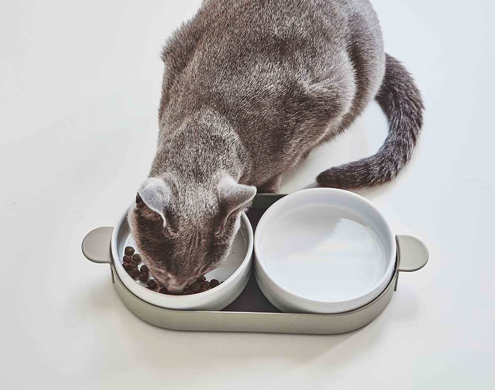 Cat eating kibble from stylish Miacara Tavoletta cat bowls in porcelain.