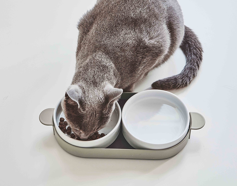 Designer cat best sale bowls