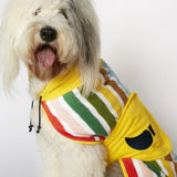 Best gift for dogs and dog lovers is a colorful dog bathrobe