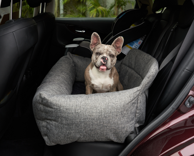 Dog car seat clearance french bulldog