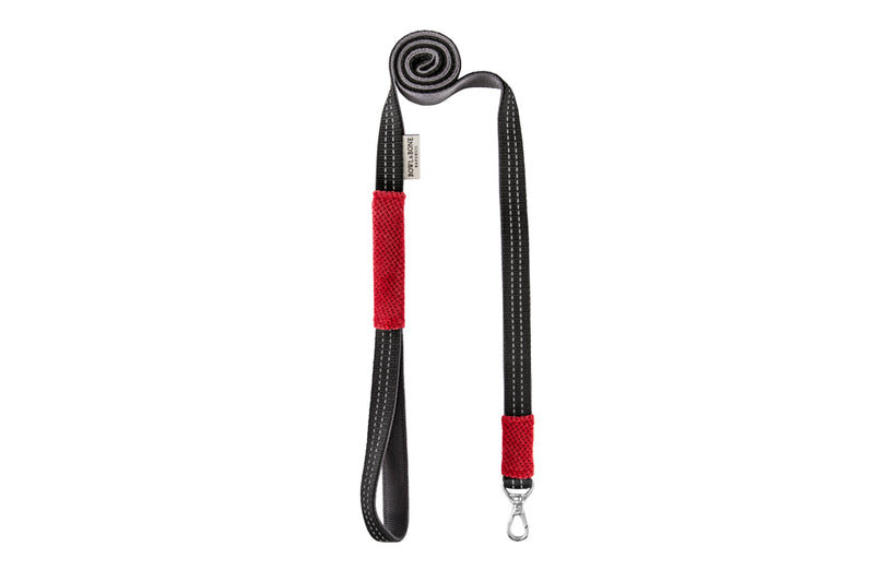 Designer dog harness and leash set