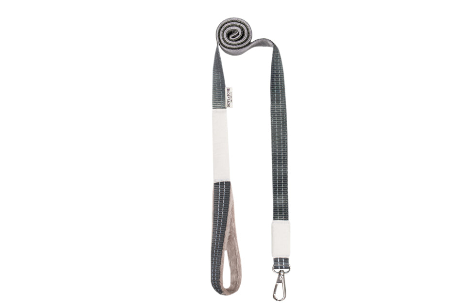 Dog leash from Bowl & Bone pet brand