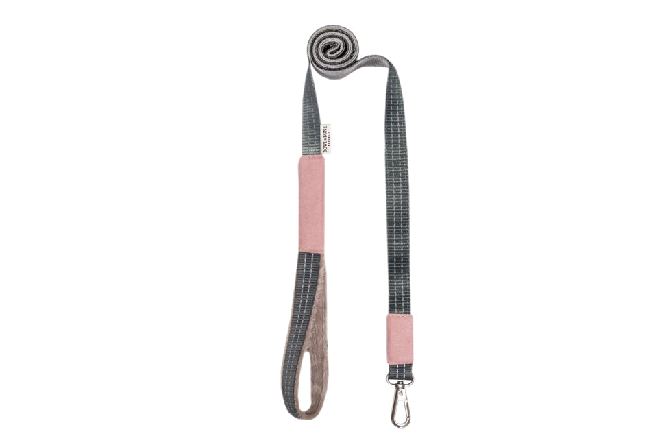 Dog leash yeti rose from Bone and Bone Republic pet brand