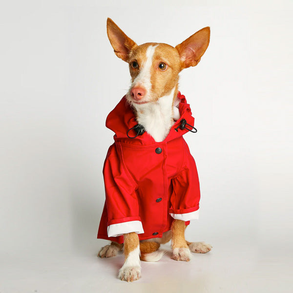 Sarah Waterproof Dog Rain Jacket - Red