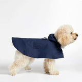 Small dog wearing a waterproof cape as a raincoat