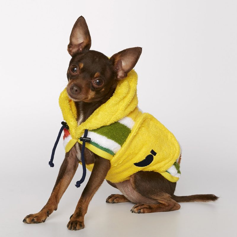 Organic cotton bathrobe for dogs make the best gift
