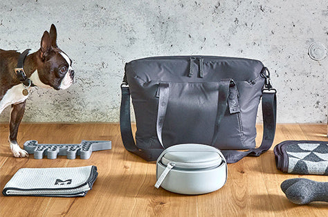 dog-travel-essentials-food-container-bowl