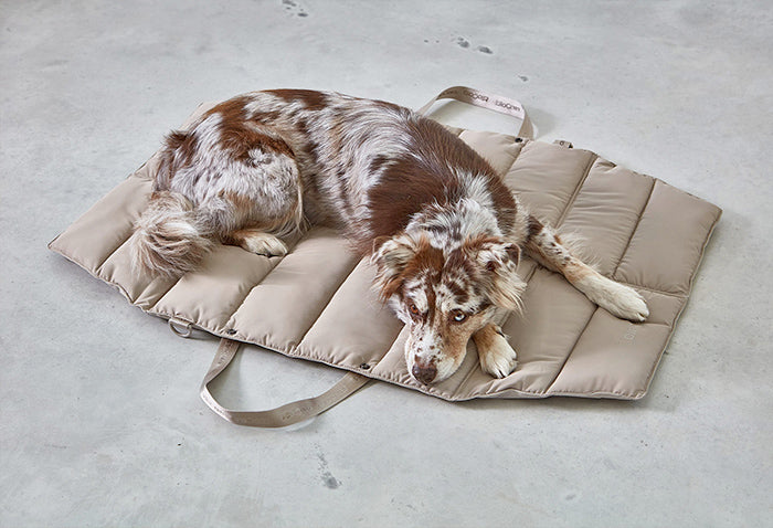 Miacara Strada Travel Bed for Dogs