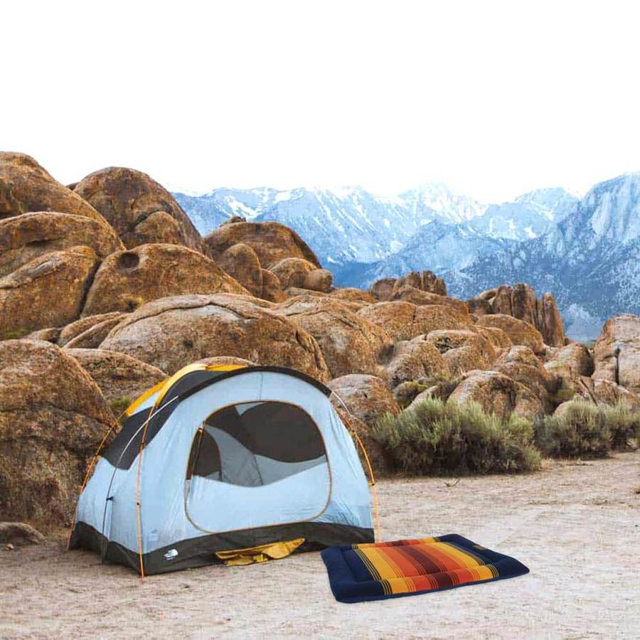 Camping essentials for your dog
