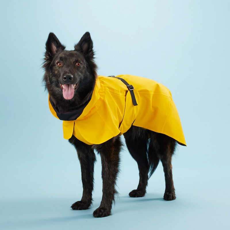 Paikka raincoat in yellow