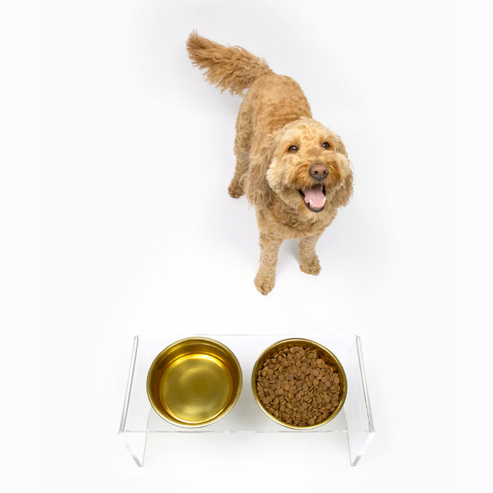 labradoodle dog feeder with stainless steel bowls