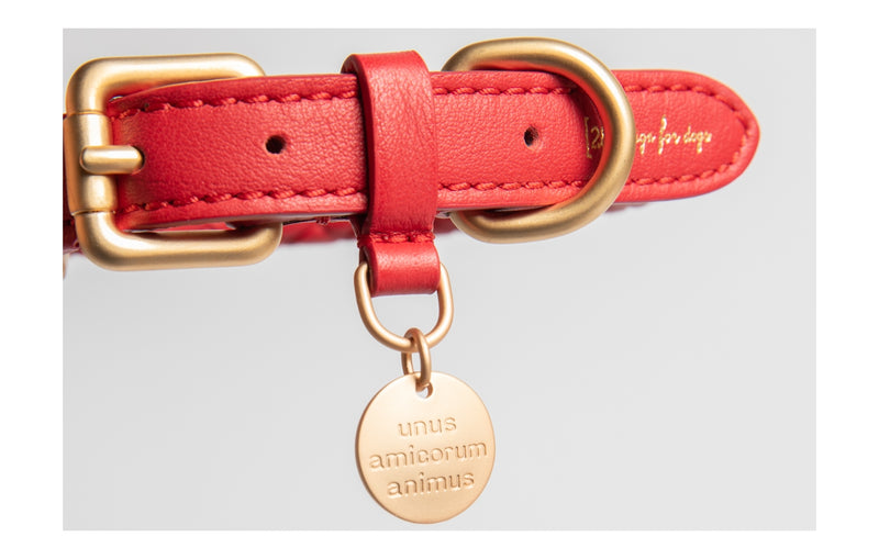 2.8 Design for Dogs Ferdinando Dog Collar in Red/Bronze, Size Medium: 13.8 - 16.1 Diameter