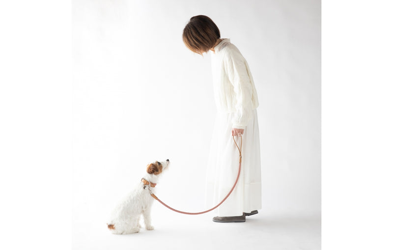 Small dog sitting with a dog lover in designer Ferdinando dog leash set.