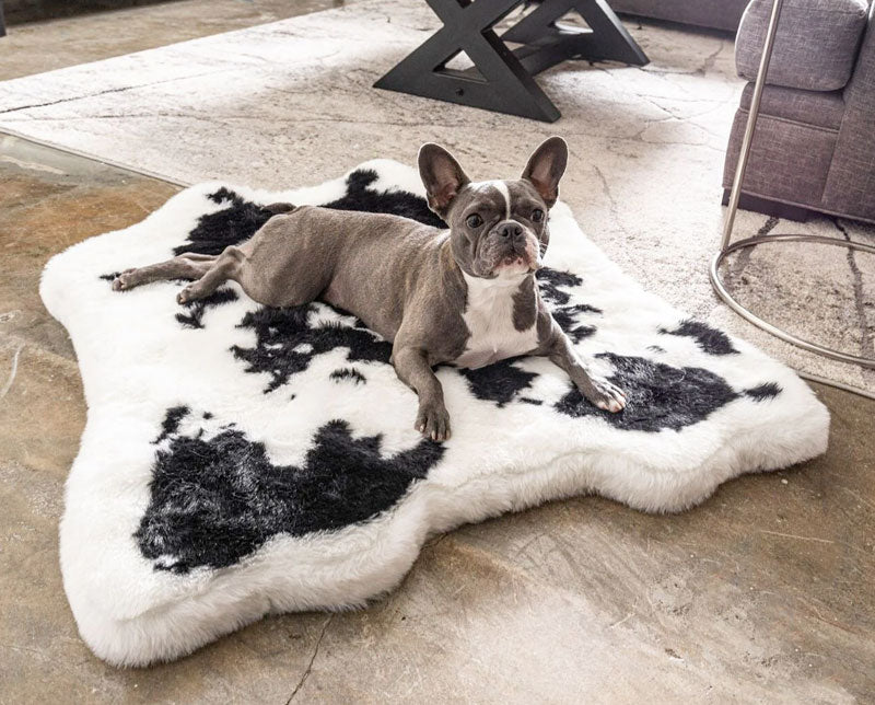 Faux Cowhide Rug Memory Foam Large Dog Bed