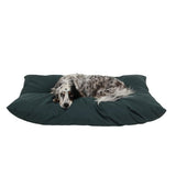 Carolina pet company shebang dog bed