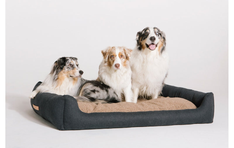 Three large size dogs on extra large size luxury dog bed with wool pillow