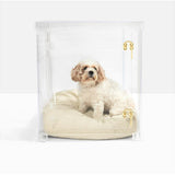 Small dog sitting inside an attractive small acrylic dog crate