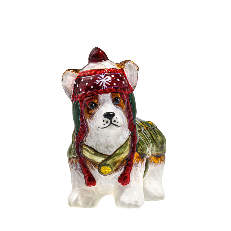 Pembroke Welsh Corgi in Barbour Jacket & Nordic Hat