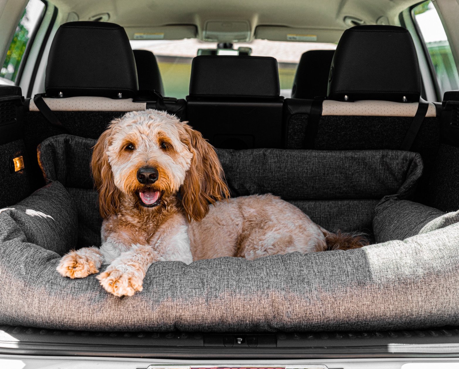 Large size cargo dog bed for car and travel