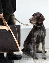 High end luxury dog leash in nappa leather on a grey dog