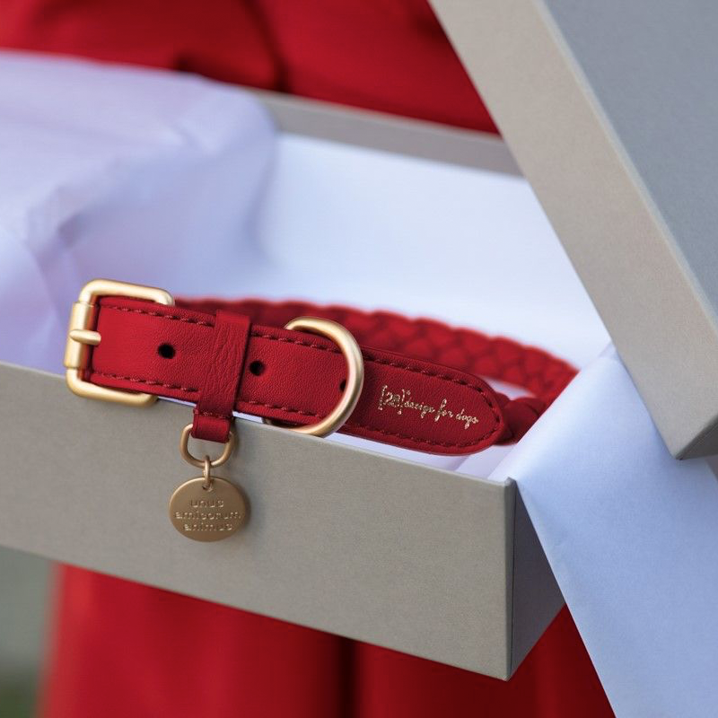 Red leather collar is a luxury gift for dog lovers in a box