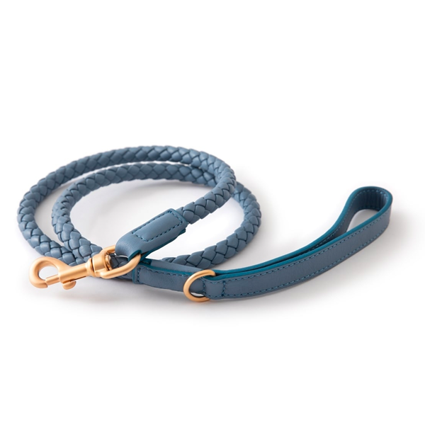 Ferdinando Leather Dog Leash in Blue