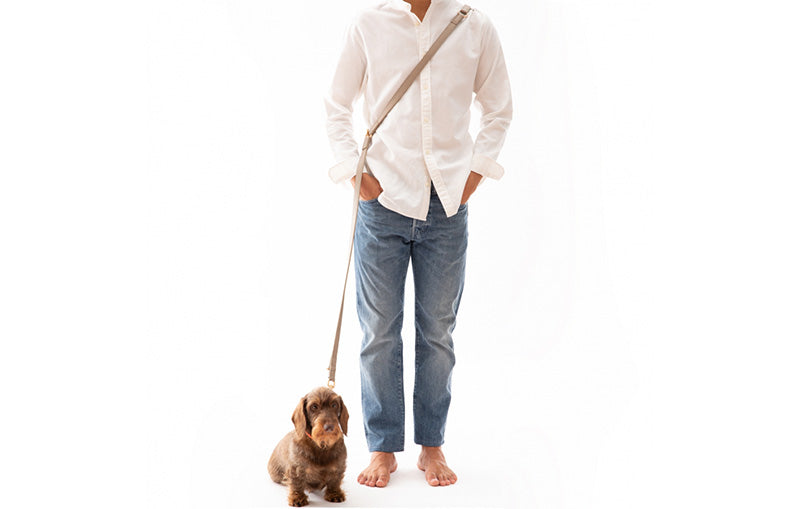 Mario Dog Training Leash 78 inches Blue