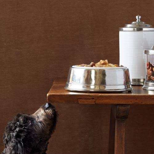 Match pewter dog bowl