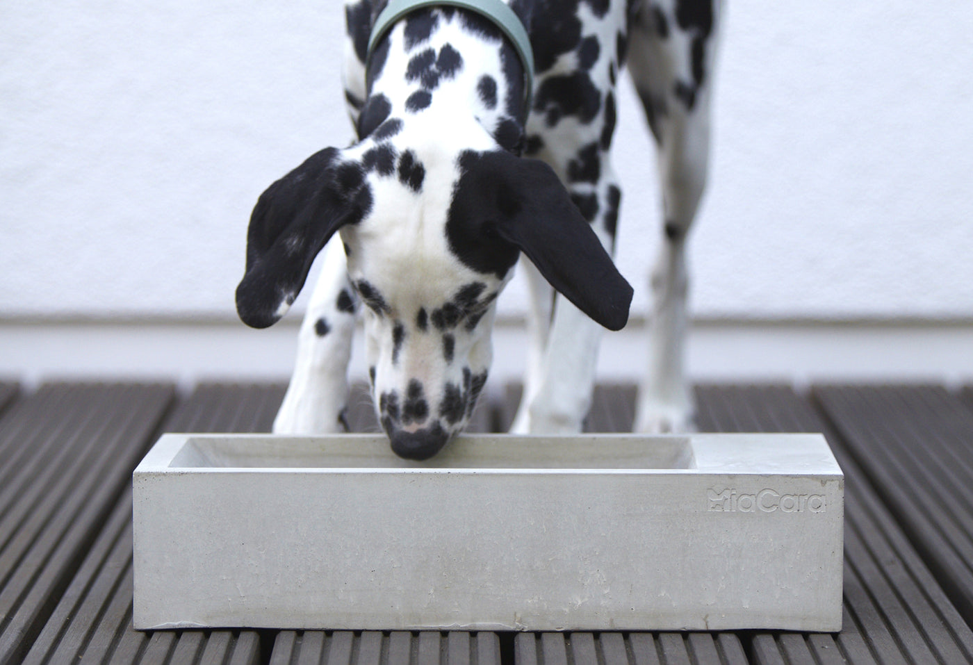Concrete dog bowls for sale best sale