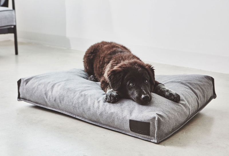 Scandinavian style stylish dog bed