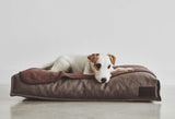 modern luxury high quality dog beds by Miacara