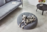 Dalmatian on a Miacara stella dog bed 