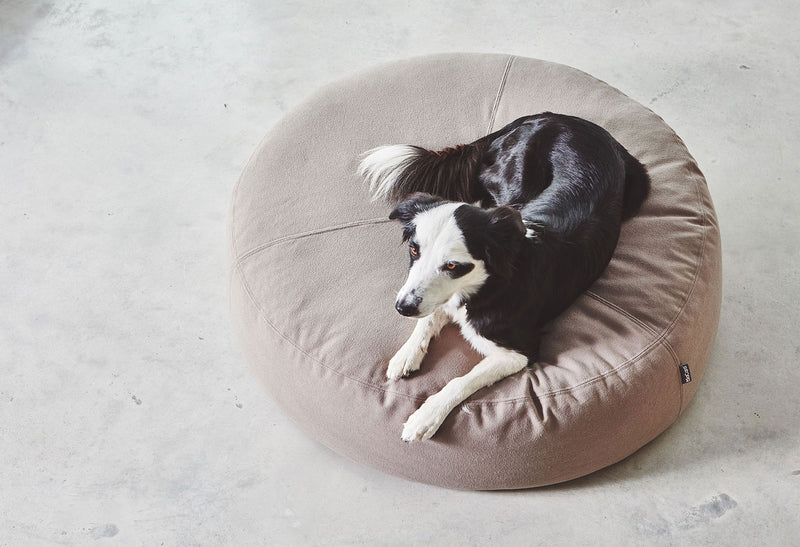 Round dog bed Miacara Stella to sleep dogs