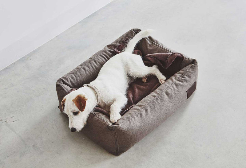 Miacara dog beds for large dogs and extra large dogs.