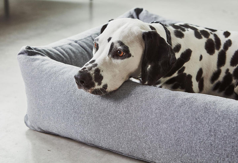 Dalmatian large dog sleeping on Miacara bolster dog bed Stella
